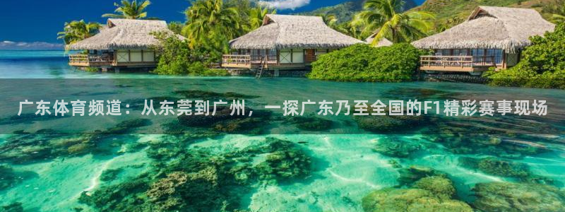 广东体育频道：从东莞到广州，一探广东乃至全国的F1精彩赛事现场