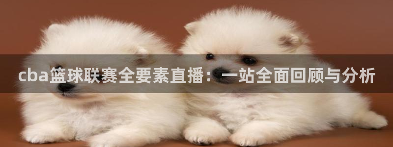 cba篮球联赛全要素直播：一站全面回顾与分析