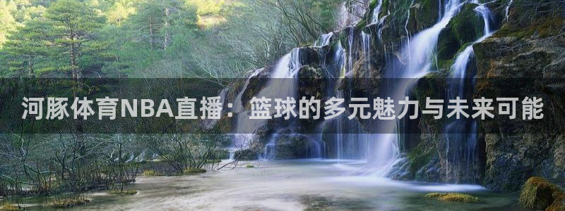 河豚体育NBA直播：篮球的多元魅力与未来可能