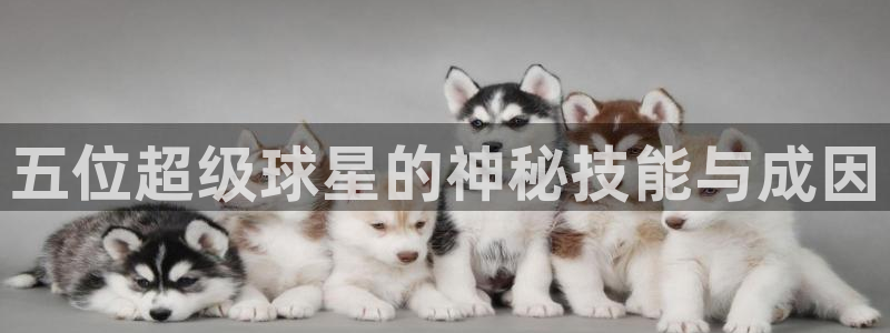 五位超级球星的神秘技能与成因