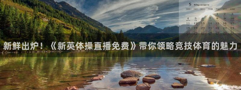新鲜出炉！《新英体操直播免费》带你领略竞技体育的魅力