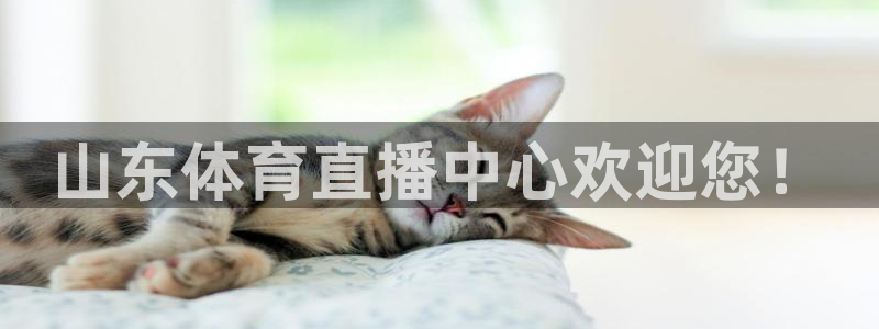 山东体育直播中心欢迎您！