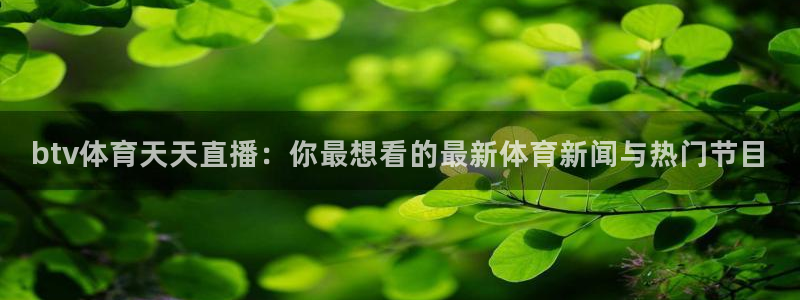 btv体育天天直播：你最想看的最新体育新闻与热门节目