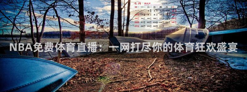 NBA免费体育直播：一网打尽你的体育狂欢盛宴