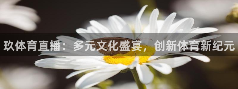 玖体育直播：多元文化盛宴，创新体育新纪元