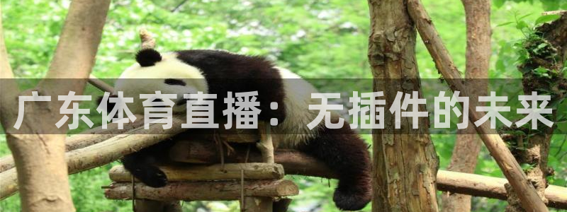 广东体育直播：无插件的未来