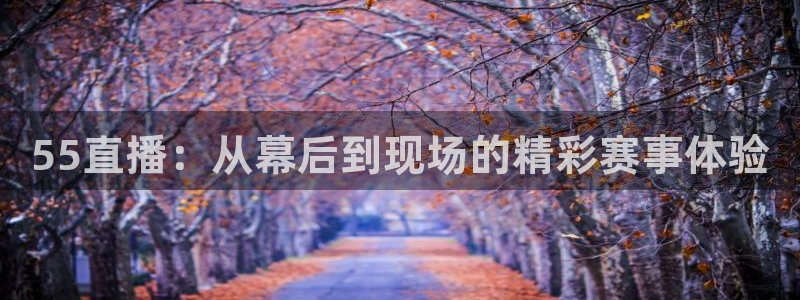 55直播：从幕后到现场的精彩赛事体验
