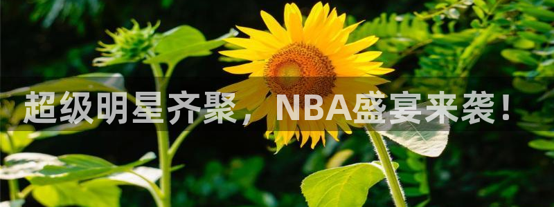 超级明星齐聚，NBA盛宴来袭！