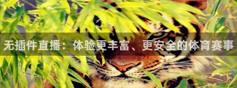 无插件直播：体验更丰富、更安全的体育赛事