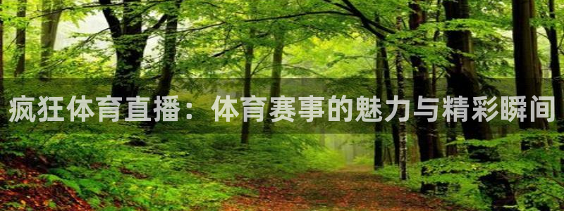 疯狂体育直播：体育赛事的魅力与精彩瞬间