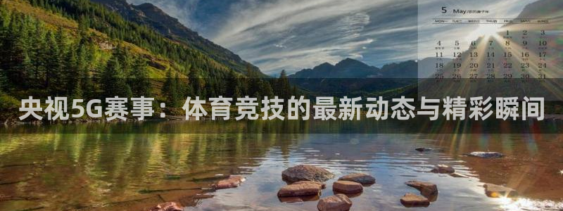 央视5G赛事：体育竞技的最新动态与精彩瞬间