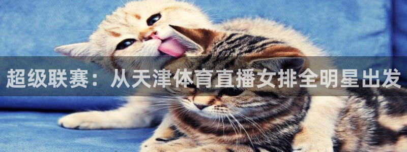 超级联赛：从天津体育直播女排全明星出发