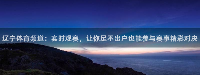 辽宁体育频道：实时观赛，让你足不出户也能参与赛事精彩对决