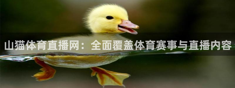 山猫体育直播网：全面覆盖体育赛事与直播内容