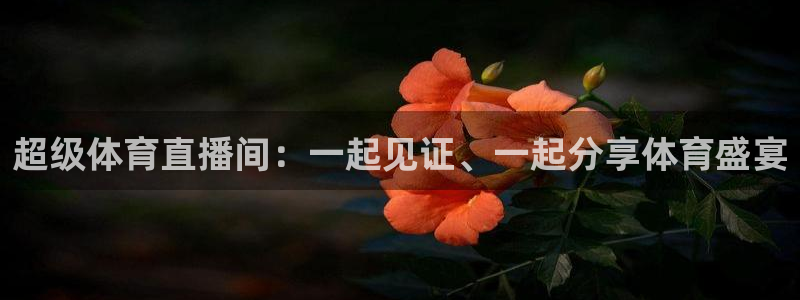 超级体育直播间：一起见证、一起分享体育盛宴