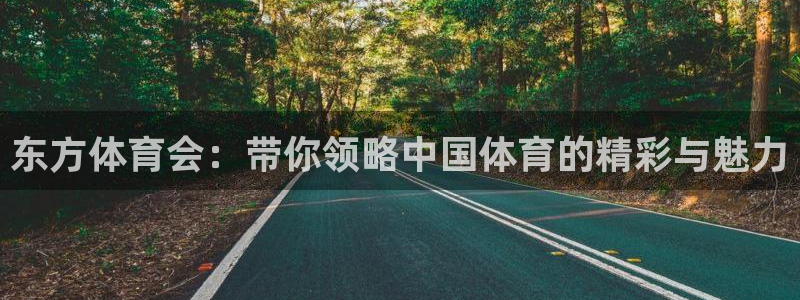 东方体育会：带你领略中国体育的精彩与魅力