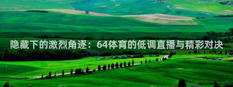 隐藏下的激烈角逐：64体育的低调直播与精彩对决