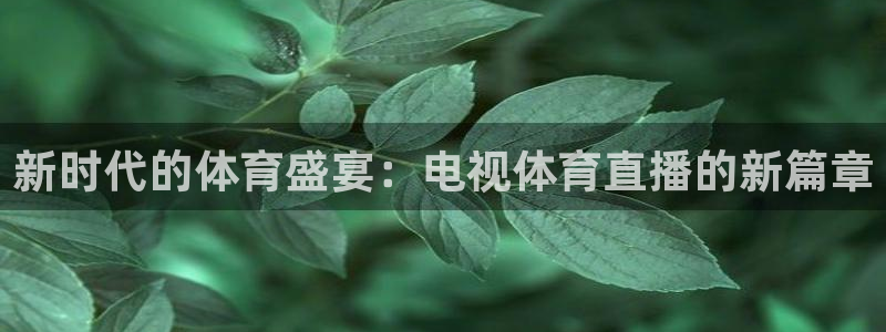 新时代的体育盛宴：电视体育直播的新篇章